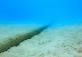 Internet cable in red sea