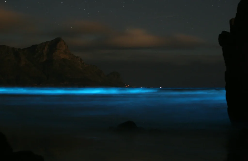 Bioluminescent blue glow on the ocean surface caused by Noctiluca during a nighttime tide