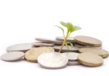 Small plant growing from a pile of coins symbolizing financial growth and investment