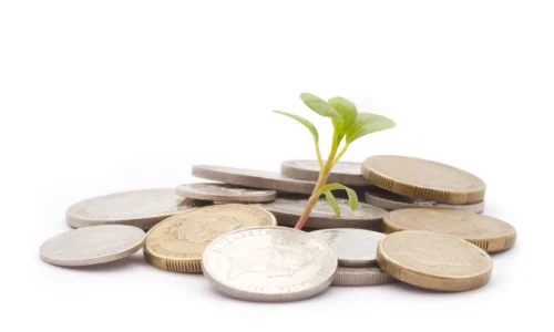 Small plant growing from a pile of coins symbolizing financial growth and investment