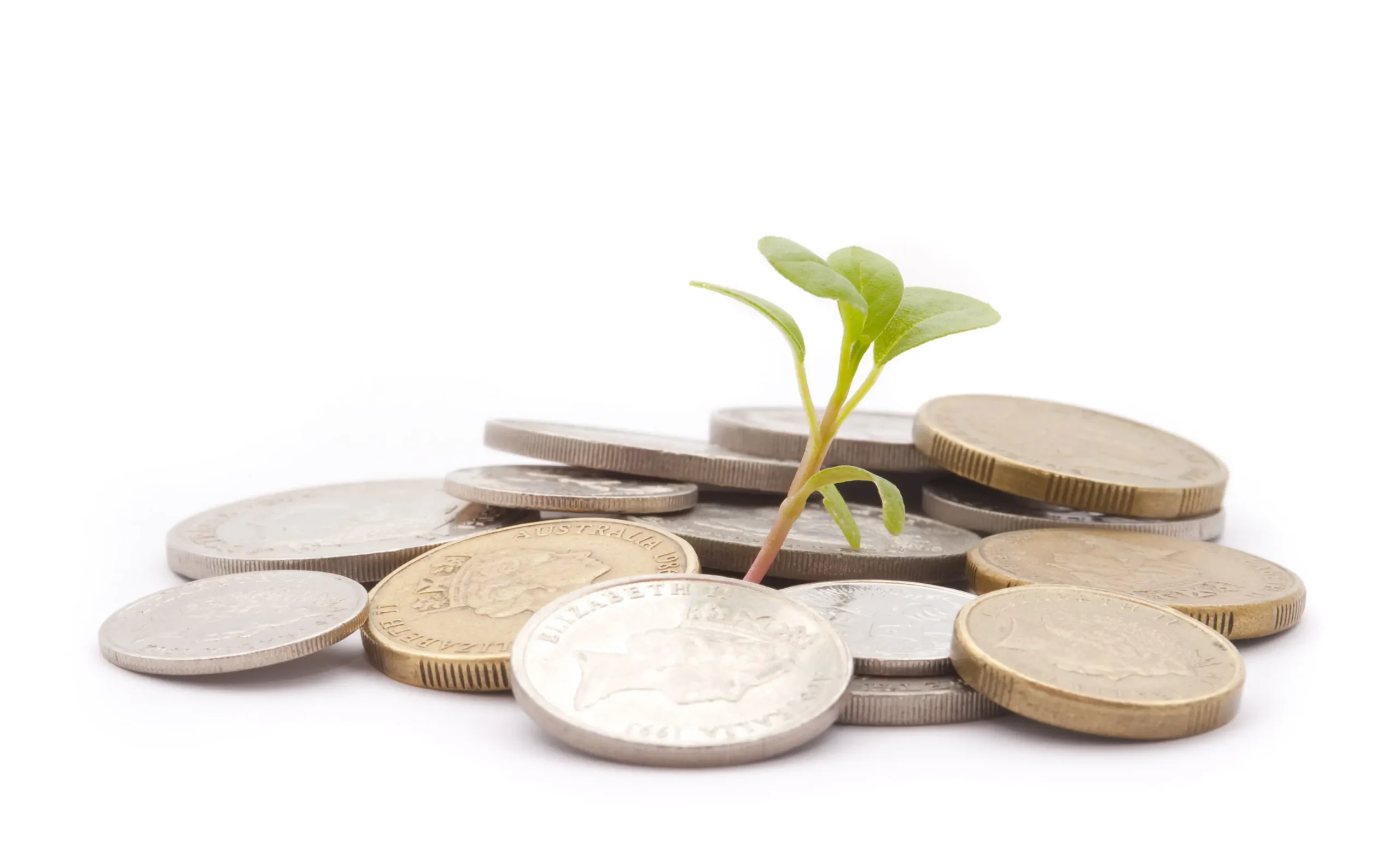 Small plant growing from a pile of coins symbolizing financial growth and investment