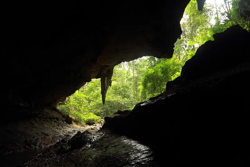 View from inside Nam Talu Cave in Thailand with green jungle visible through the entrance and wet cave floor in the foreground.