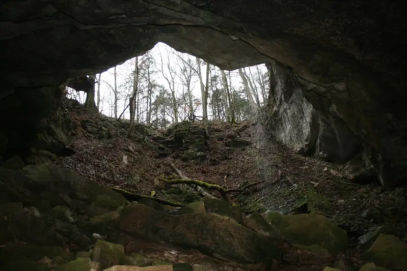 View from inside a cave looking out into a forest, with moss-covered rocks and overhanging stone ceiling.