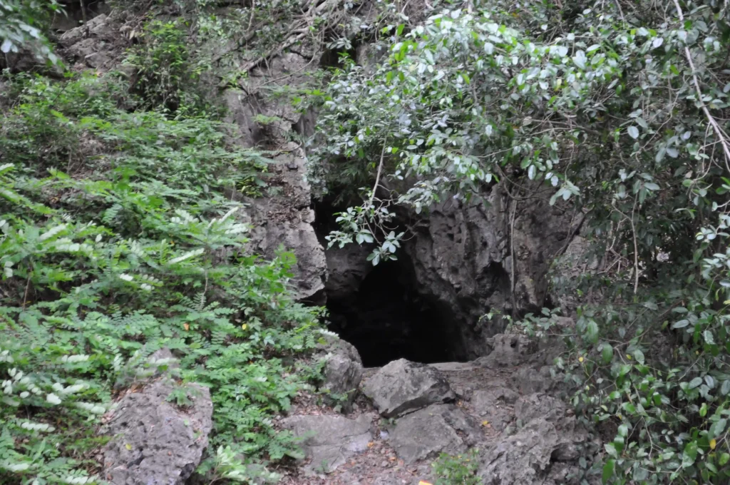Cave stories - entrance surrounded by rocks and dense greenery, believed to be the entrance to the Killing Caves of Phnom Sampeau.