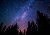 Milky Way above a pine forest in one of the darkest places on Earth, showing the beauty of dark sky parks and clear night skies