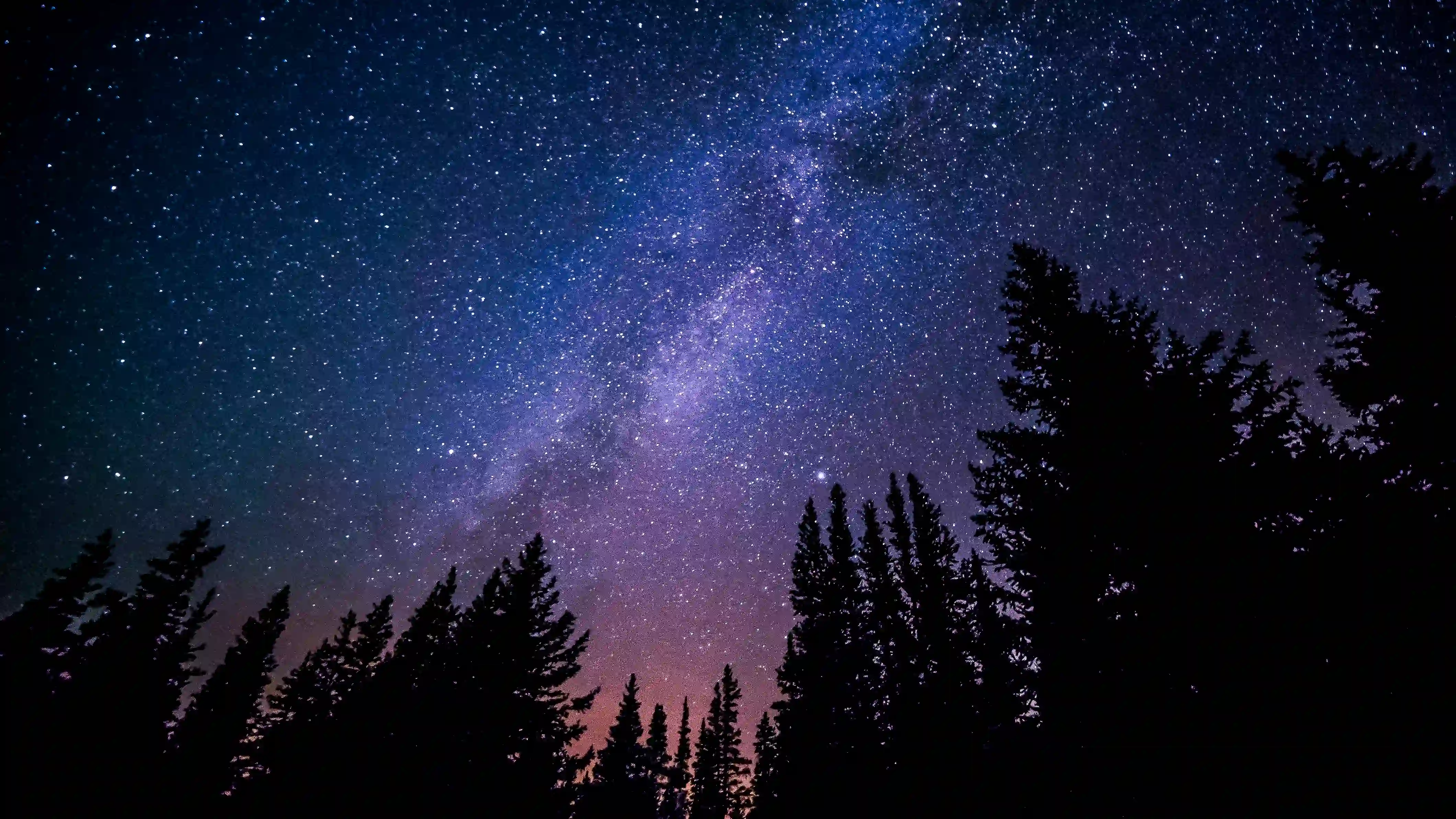 Milky Way above a pine forest in one of the darkest places on Earth, showing the beauty of dark sky parks and clear night skies