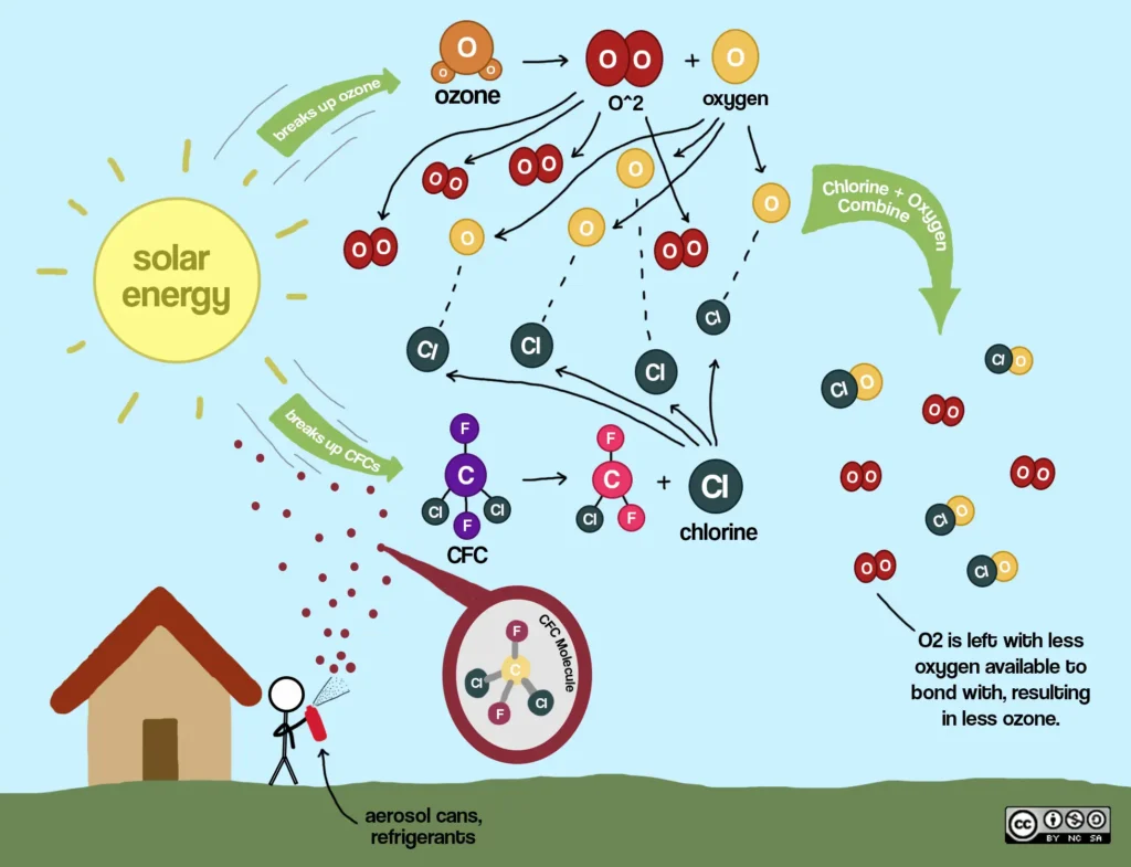 Illustration showing environmental and chemical processes