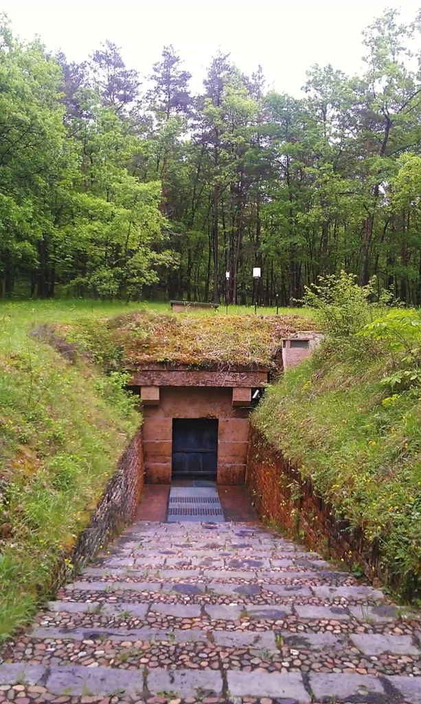 Showing the entrance to the famous cave in France